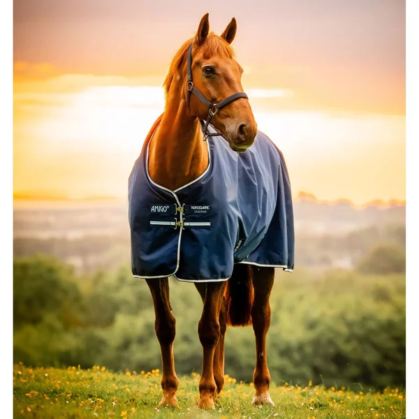 Couverture D'extéRieur Pour Cheval Horseware Amigo Ripstop 900D 0G-image