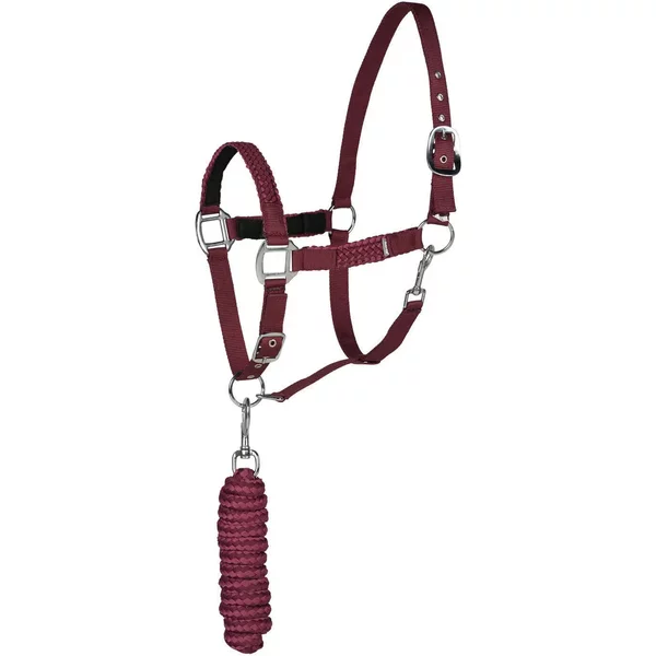 Ensemble Licol Et Longe Pour Cheval Horze Chicago-image