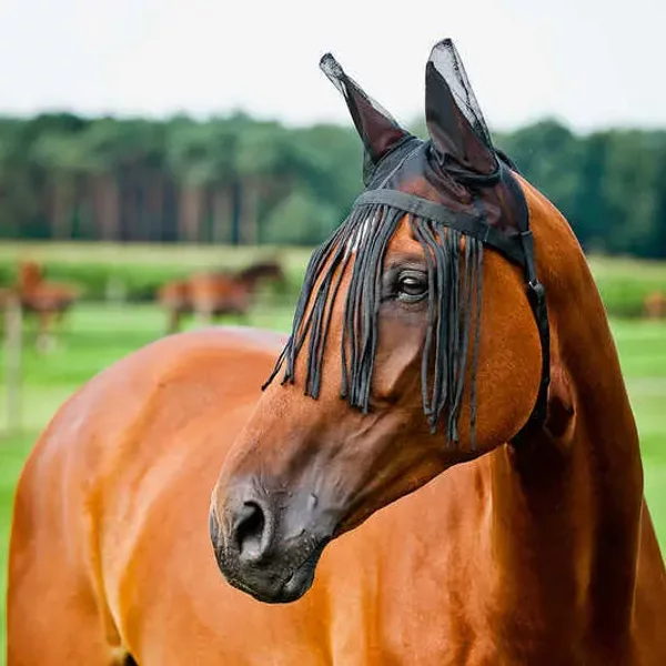 Masque Anti-Mouches Pour Cheval Avec Bonnet Horze-image