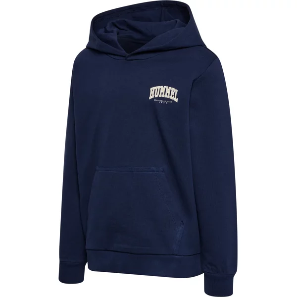 Kinder Kapuzenpullover Hummel Fast