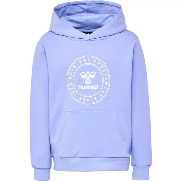 Sweatshirt à capuche enfant Hummel Cuatro Circle