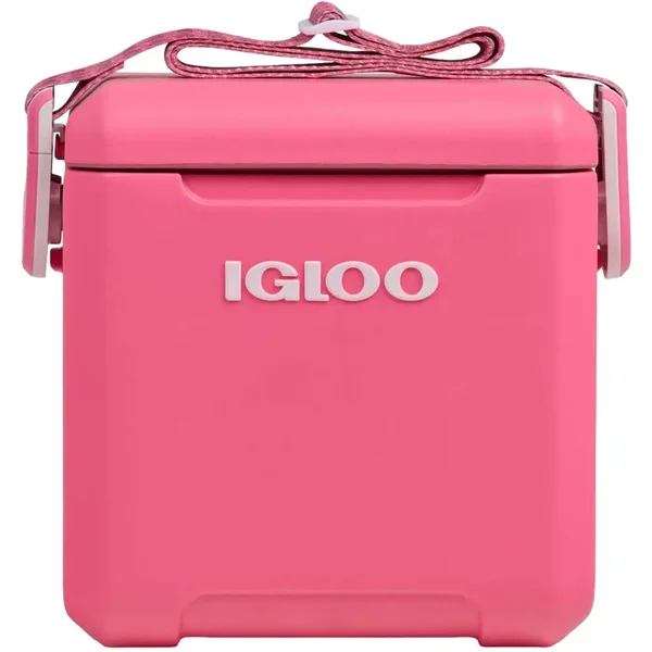 Koeler Igloo Tag Along Too Remix