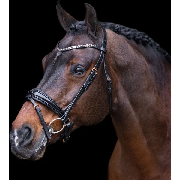 Bridons éQuitation Imperial Riding Olympia-image