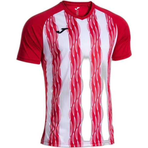 Trikot Joma Inter V