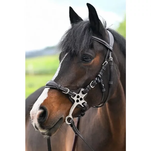 Bridons éQuitation Pour Cheval Jump'In One Premium Hackamore-image