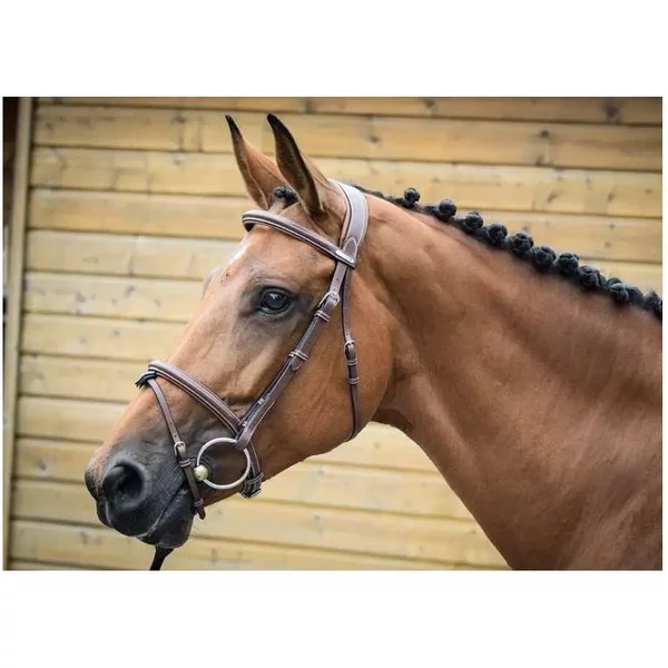 Bridons London Jump'in Collection One-image
