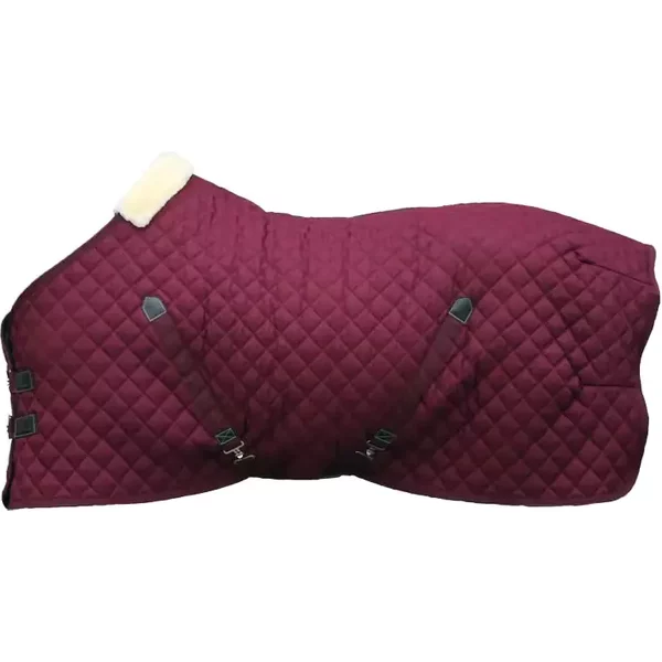 Couverture D'éCurie Pour Cheval Kentucky Horsewear 400G-image