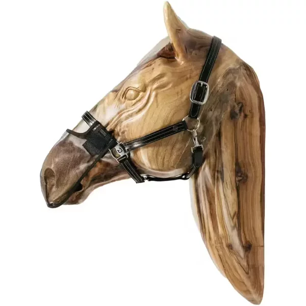 Masque Anti-Mouches Pour Cheval Kentucky-image