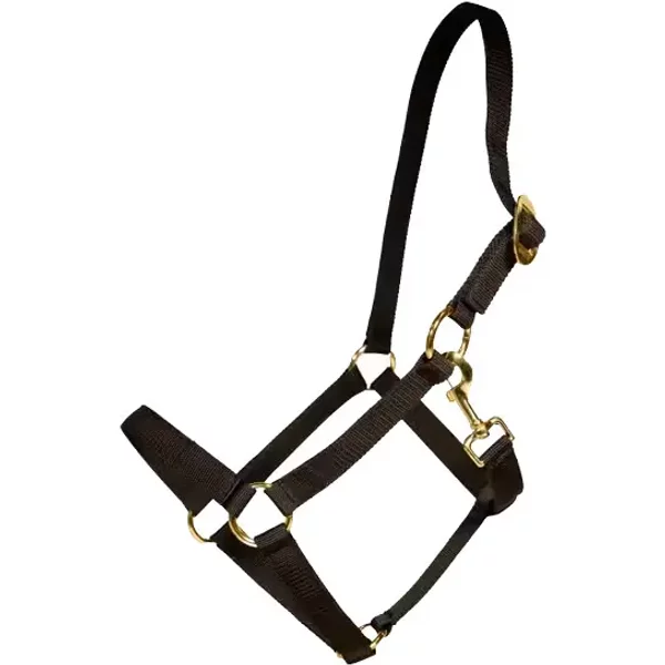Licol Pour Cheval Nylon Kentucky-image