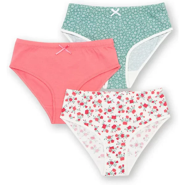 Culotte BéBé Fille Kite Rosey Posey (X3)-image
