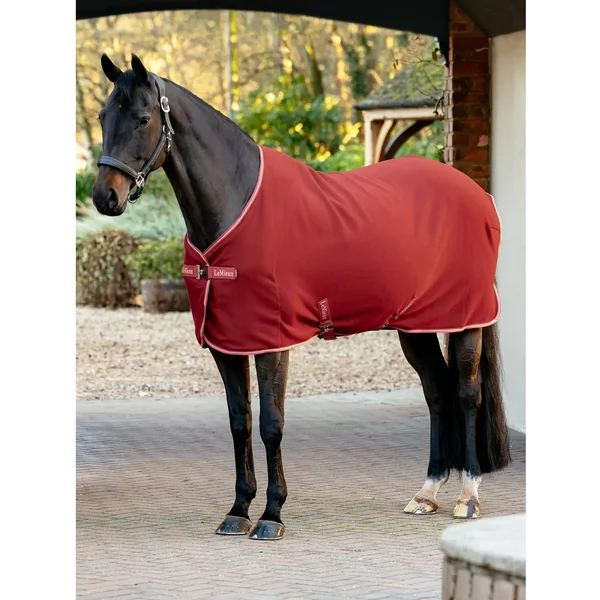 Couverture Polaire SéChante Pour Cheval LeMieux Arika Tek-image