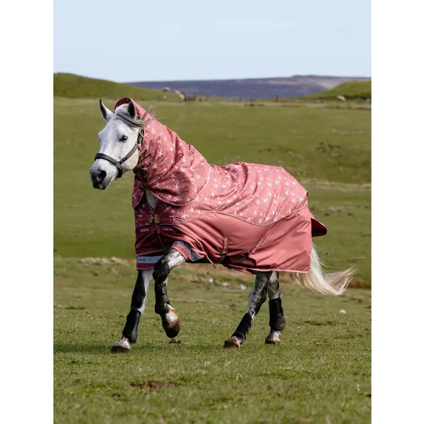 Couverture D'extéRieur Pour Cheval LeMieux Arika Star 100G-image