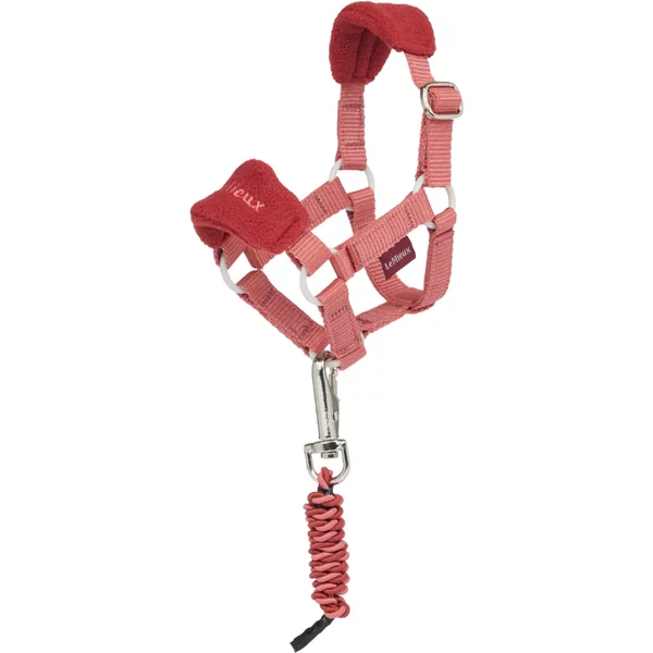 Licol Pour Peluche Et Longe éQuitation LeMieux Toy Pony-image