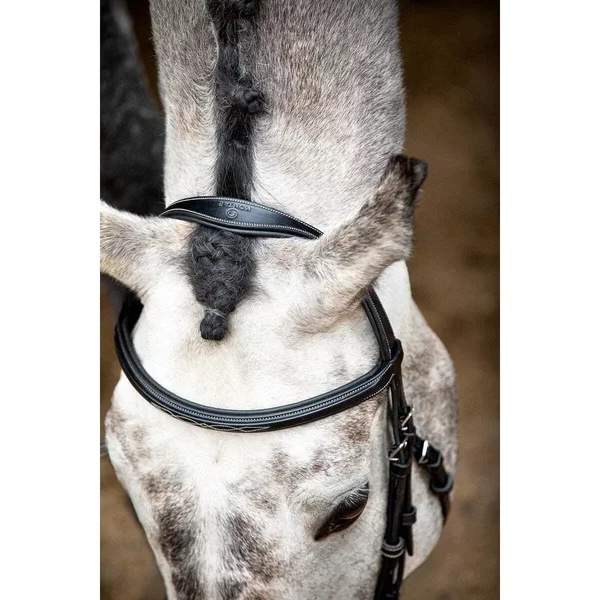 Bridons éQuitation En Cuir Vegan Montar Hunter ECO-image