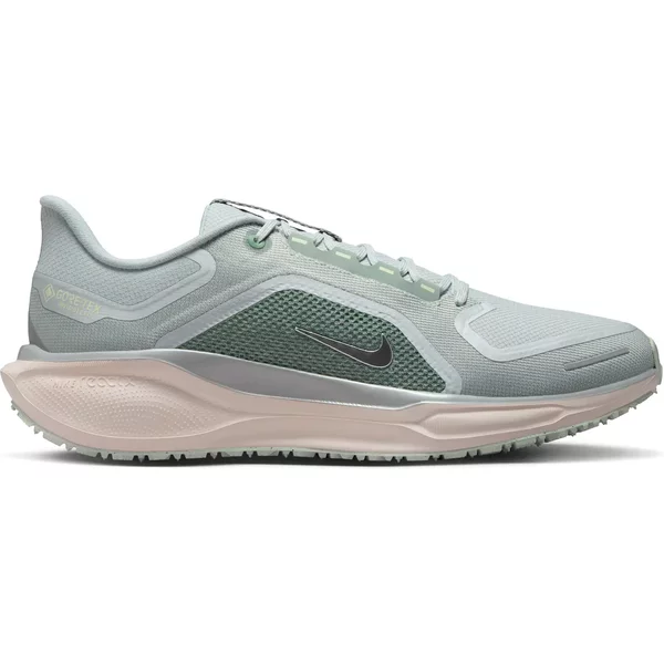 Chaussures De Running Nike Pegasus 41 GORE-TEX-image