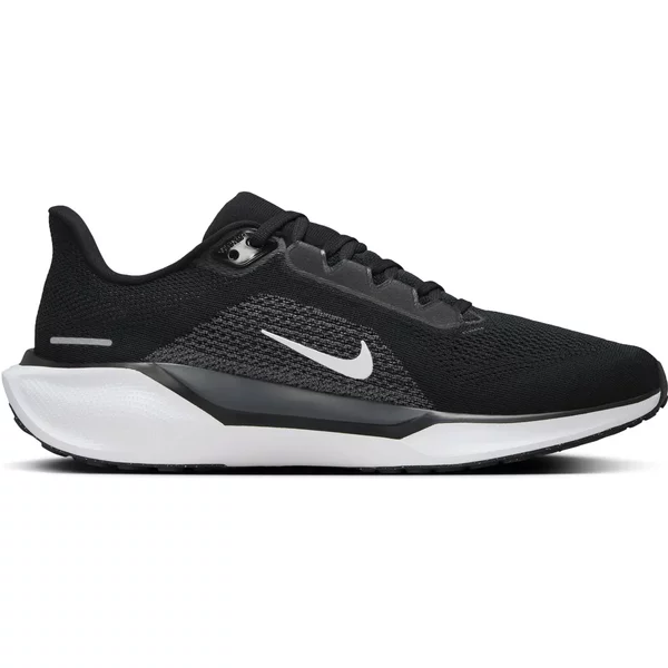 Scarpe Da Corsa Nike Pegasus 41-image