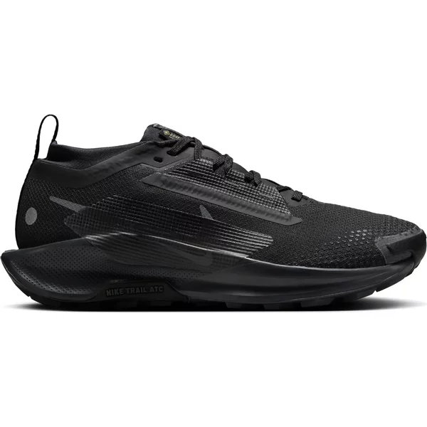 Chaussures De Trail Femme Nike Pegasus Trail 5 GORE-TEX-image