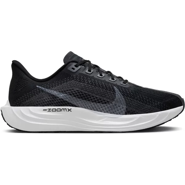 Scarpe Da Corsa Nike Pegasus Plus-image