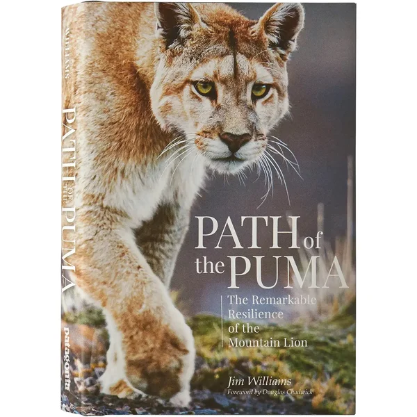 Livre Patagonia Path of the Puma