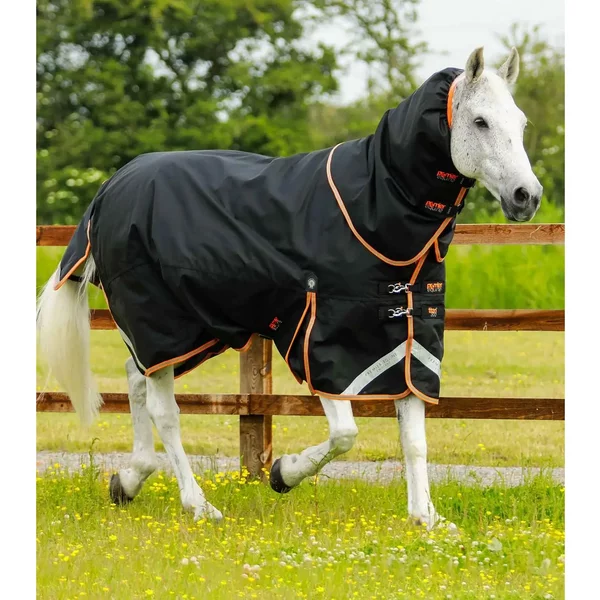 Couverture D'extéRieur Pour Cheval Avec Couvre Cou Premier Equine Titan 300 G-image