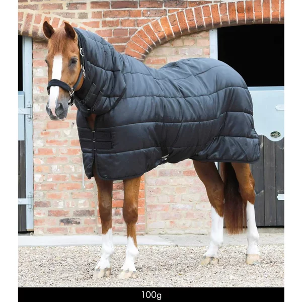 Sous-Couverture Pour Cheval Avec Couvre-Cou Premier Equine 100 G-image