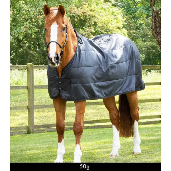 Doublure De Couverture Pour Cheval Premier Equine 50 G-image