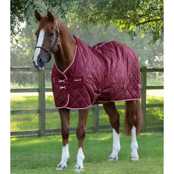 Couverture D'éCurie Pour Cheval Premier Equine Tuscan 100 G-image