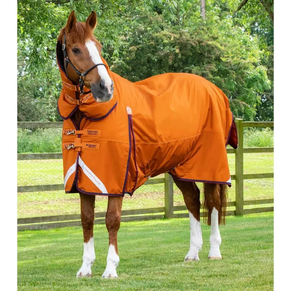 Couverture D'extéRieur ImperméAble Pour Cheval Avec Couvre-Cou Premier Equine Buster Combo 200G-image