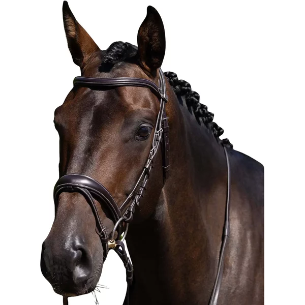 RêNes Pour Cheval Premier Equine Cassano-image