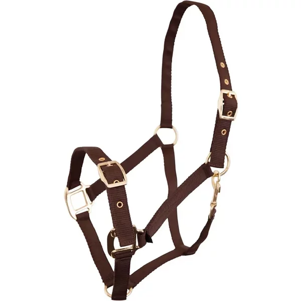 Licol Pour Cheval PolypropylèNe Premiere Equitation-image
