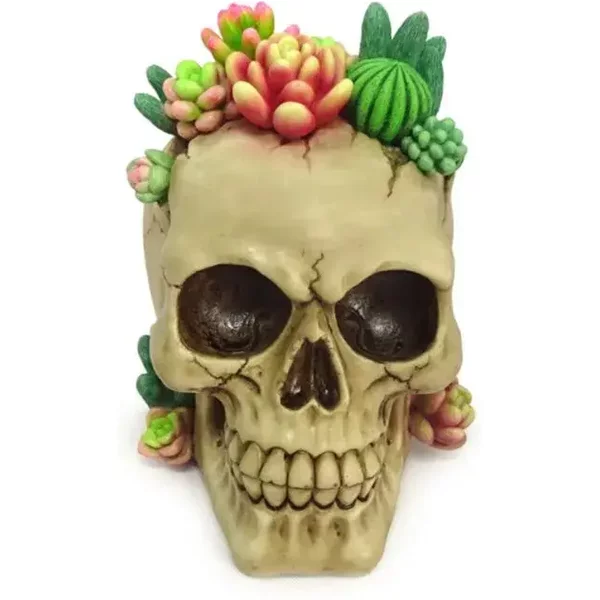 Figurine DéCoratif CrâNe Avec Plantes Succulentes Puckator-image