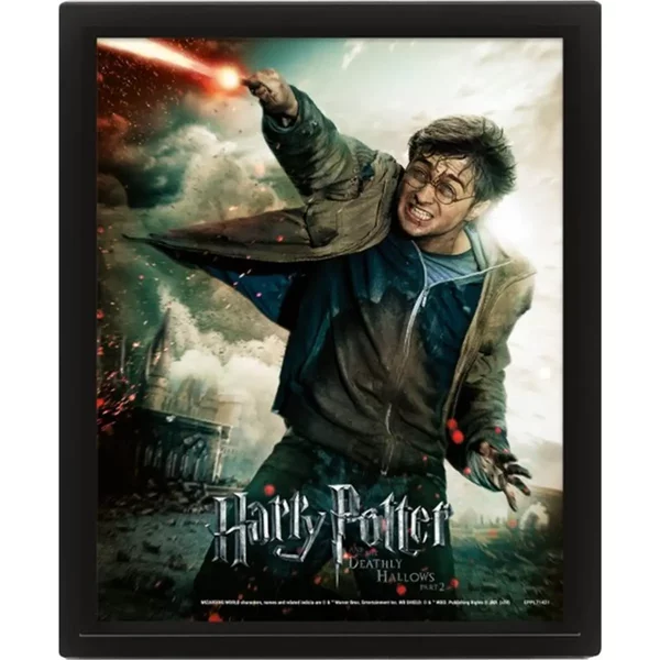 Cadre 3D Lenticulaire Pyramid Harry Potter Expelliarmus-image