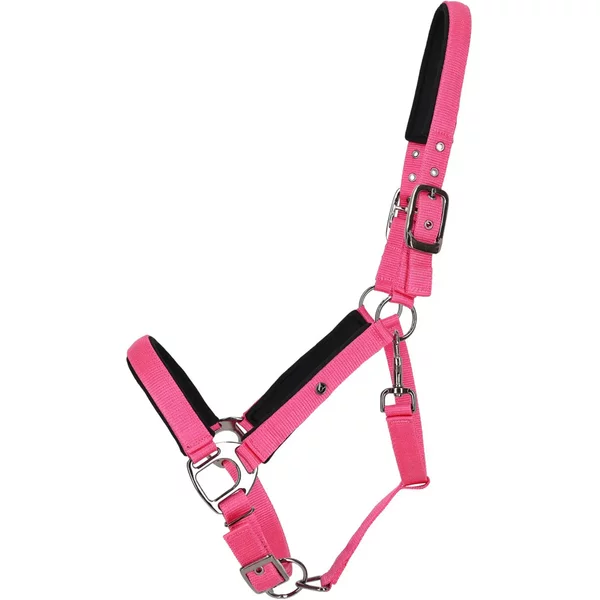 Licol Pour Cheval QHP-image