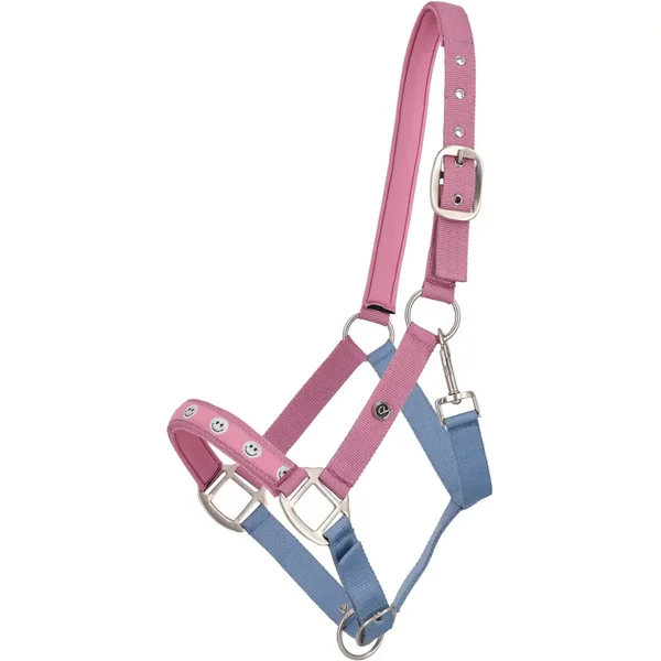 Licol Qhp Rosalynn-image
