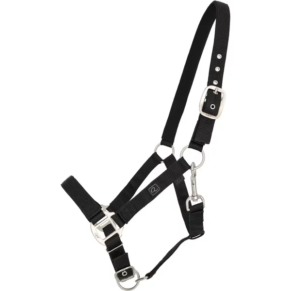 Licol Pour Cheval Avec Doublures Qhp-image