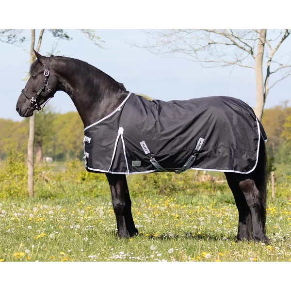 Couverture D'extéRieur Pour Cheval à Grand Cou Qhp 300G-image