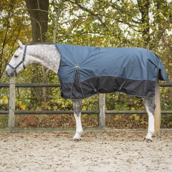 Couverture Demi-Cou Pour Cheval QHP Collection 150G-image