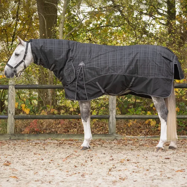 Couverture Avec Cou Pour Cheval QHP Collection 300G-image