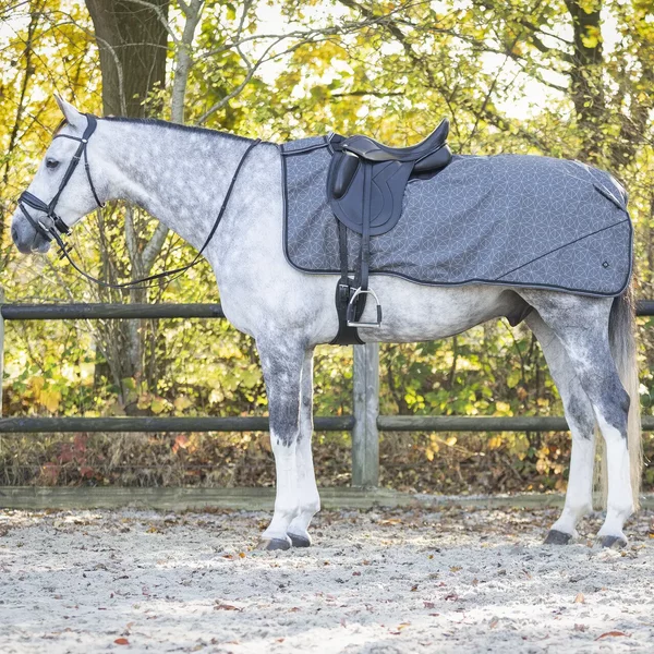Couvre-Reins Polaire Pour Cheval QHP Collection-image