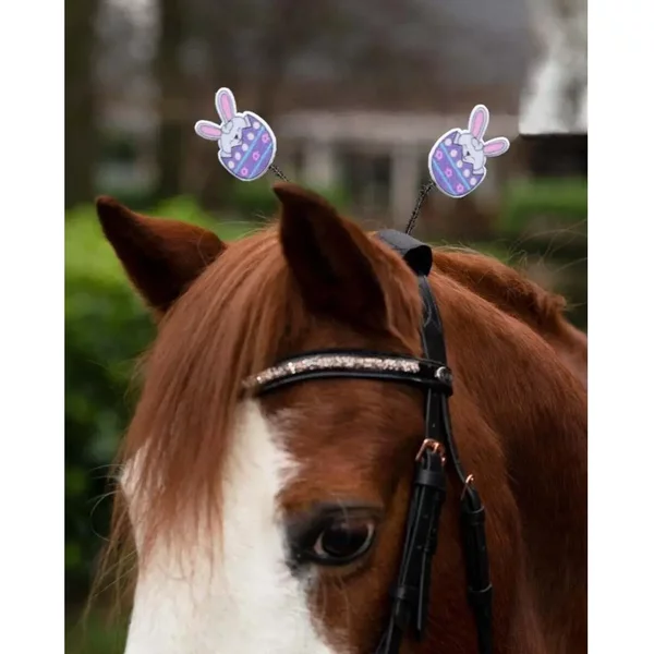 Accessoire De TêTièRe Pour Cheval Qhp Easter-image