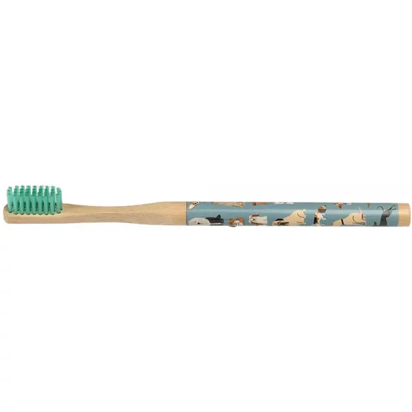Brosse à Dents En Bambou Enfant Rex London Best In Show-image