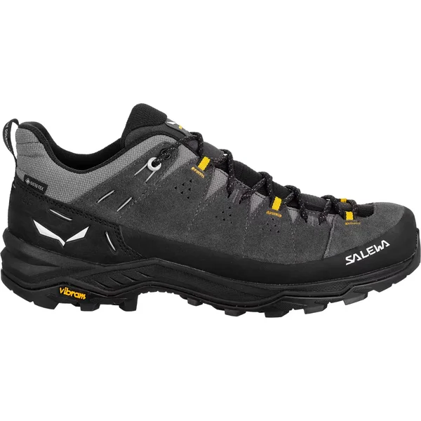 Chaussures de randonnée Salewa ALP Trainer 2 GTX