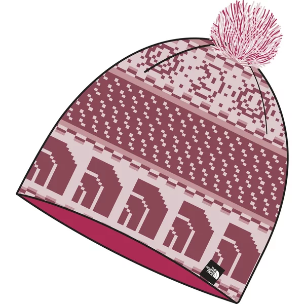 Bonnet Enfant The North Face Cabin-image