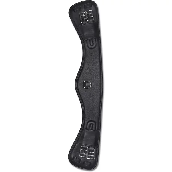 Sangle De Dressage D'éQuitation En Cuir Waldhausen Contour-image