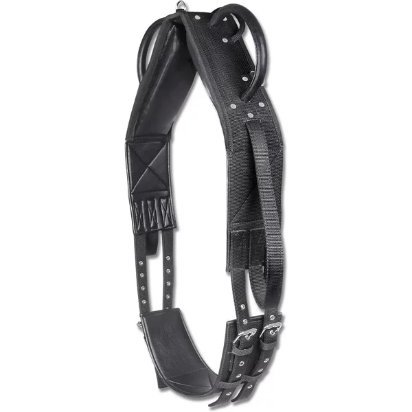 Surfaix Pour Cheval Voltige SynthéTique Waldhausen-image