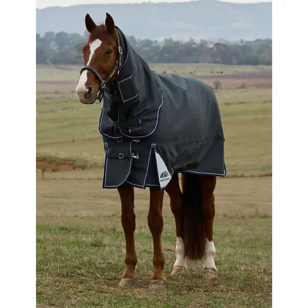 Couverture D'extéRieur Pour Cheval Weatherbeeta Comfitec Ultra 100G-image