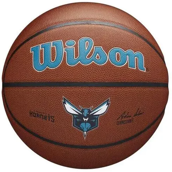 Basketball Wilson NBA Team Alliance Char Hornets-image
