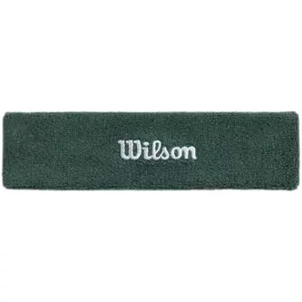 Bandeau Wilson Terry Logo-image