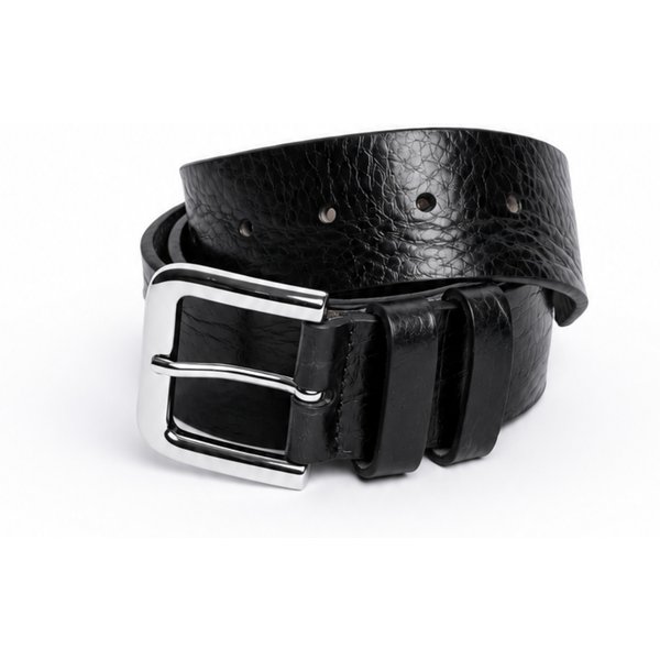 Cintura tela CON Fibbia Argento-image