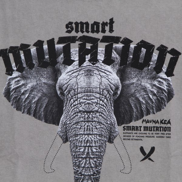Maglietta Uomo Elephant Tee Stone Washed Dusty Grey-image